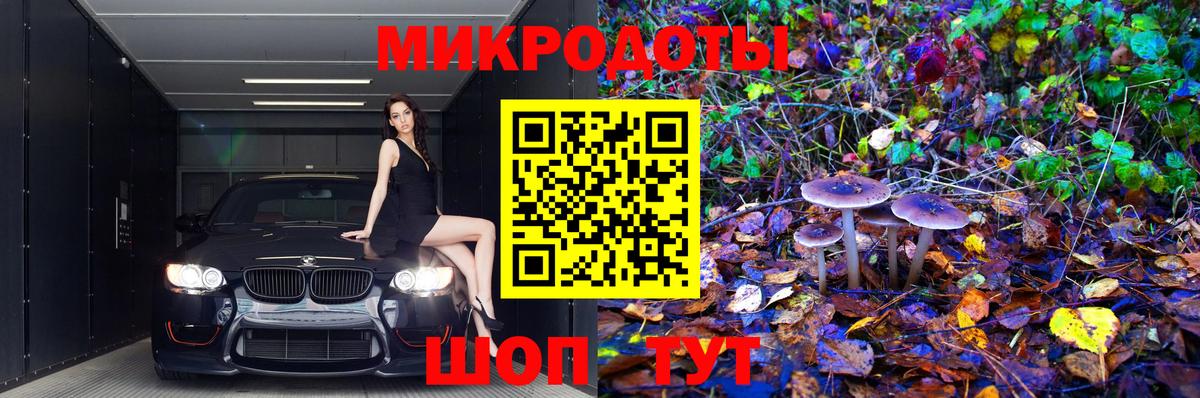 Мурманск  Галлюциногенные грибы Magic Shrooms  купить наркоту  Вход с VPN  Псилоцибиновые грибы мухоморы 